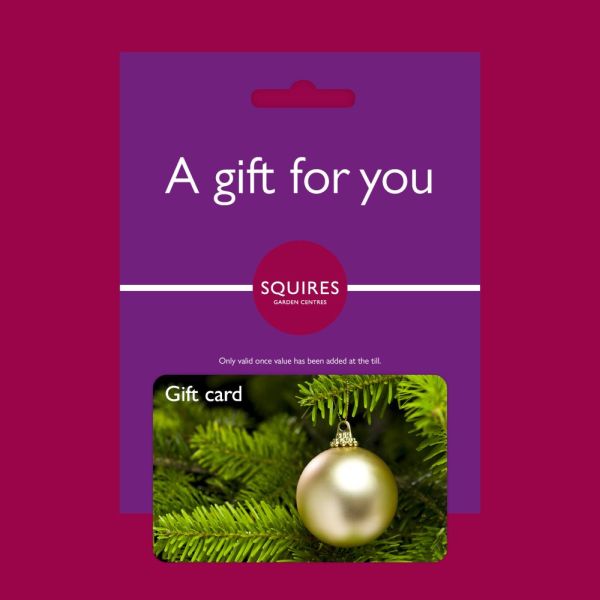 Squire's Gift Card - Christmas